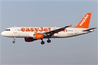Rubn Gil - Noisy Spotters. Click to see full size photo