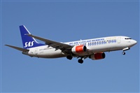 Alfonso Sols - Asociacin Canary Islands Spotting. Haz click para ampliar