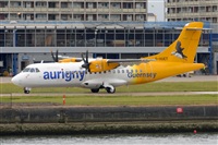 Miguel A. gueda Rguez.  (CANARY ISLANDS SPOTTING). Click to see full size photo