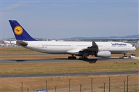 Miguel A. gueda Rguez.  (CANARY ISLANDS SPOTTING). Click to see full size photo