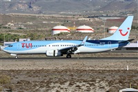 Alfonso Sols - Asociacin Canary Islands Spotting. Click to see full size photo