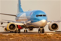 Javier de la Cruz - CANARY ISLANDS SPOTTING. Click to see full size photo
