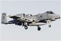 JFMAYORAL - Arispotters.Org / Aire.Org. Click to see full size photo
