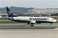 Nacho Rodriguez - Canary Islands Spotting. Click to see full size photo