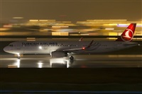 Rubn Gil - Noisy Spotters. Click to see full size photo