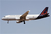 ©Alfonso Solís - Asociación Canary Islands Spotting. Click to see full size photo ©Alfonso Solís - Asociación Canary Islands Spotting. Click to see full size photo