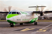 Javier de la Cruz - CANARY ISLANDS SPOTTING. Click to see full size photo