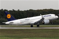Adrin Alonso Lemes - Lanzarote Spotters. Click to see full size photo