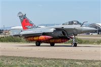 ©Adolfo Bento - Gran Canaria Spotters. Click to see full size photo ©Adolfo Bento - Gran Canaria Spotters. Click to see full size photo