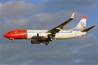 Miguel A. gueda Rguez.  (CANARY ISLANDS SPOTTING). Click to see full size photo