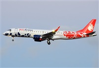 ©Alejandro H.L - Gran Canaria Spotters. Click to see full size photo ©Alejandro H.L - Gran Canaria Spotters. Click to see full size photo