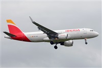 Miguel A. gueda Rguez.  (CANARY ISLANDS SPOTTING). Haz click para ampliar