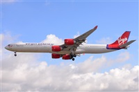 Miguel A. gueda Rguez.  (CANARY ISLANDS SPOTTING). Click to see full size photo