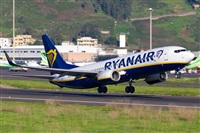 ©Saimon J Rodriguez - Canary Islands Spotting. Haz click para ampliar ©Saimon J Rodriguez - Canary Islands Spotting. Haz click para ampliar
