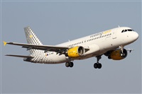 ©Alfonso Solís - Asociación Canary Islands Spotting. Click to see full size photo ©Alfonso Solís - Asociación Canary Islands Spotting. Click to see full size photo