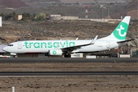 Alfonso Sols - Asociacin Canary Islands Spotting. Click to see full size photo