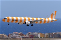 Miguel A. gueda Rguez.  (CANARY ISLANDS SPOTTING). Click to see full size photo