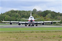 Miguel A. gueda Rguez.  (CANARY ISLANDS SPOTTING). Click to see full size photo