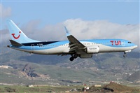 Alfonso Sols - Asociacin Canary Islands Spotting. Haz click para ampliar