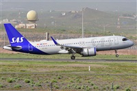 Miguel A. gueda Rguez.  (CANARY ISLANDS SPOTTING). Haz click para ampliar