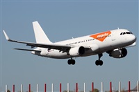 Alfonso Sols - Asociacin Canary Islands Spotting. Click to see full size photo