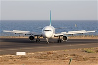 Adrin Alonso Lemes - Lanzarote Spotters. Haz click para ampliar