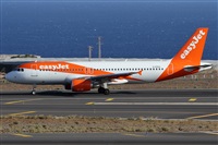 Alfonso Sols - Asociacin Canary Islands Spotting. Haz click para ampliar