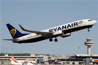 Alfonso Sols - Asociacin Canary Islands Spotting. Click to see full size photo