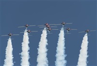 Rod Dermo. Click to see full size photo