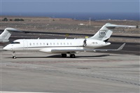 ©Alfonso Solís - Asociación Canary Islands Spotting. Click to see full size photo ©Alfonso Solís - Asociación Canary Islands Spotting. Click to see full size photo