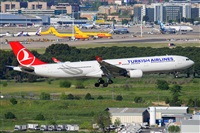 Miguel A. gueda Rguez.  (CANARY ISLANDS SPOTTING). Click to see full size photo