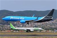 Miguel A. gueda Rguez.  (CANARY ISLANDS SPOTTING). Click to see full size photo