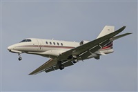 A. Torres. Click to see full size photo