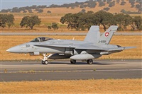 ©Juan Ojados. Click to see full size photo ©Juan Ojados. Click to see full size photo