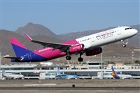 �Alfonso Sol�s - Asociaci�n Canary Islands Spotting. Click to see full size photo