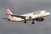 ©Alfonso Solís - Asociación Canary Islands Spotting. Click to see full size photo ©Alfonso Solís - Asociación Canary Islands Spotting. Click to see full size photo