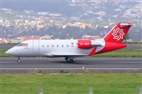 �Miguel A. �gueda Rguez.  (CANARY ISLANDS SPOTTING). Click to see full size photo