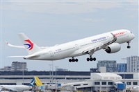 �Miguel A. �gueda Rguez.  (CANARY ISLANDS SPOTTING). Click to see full size photo