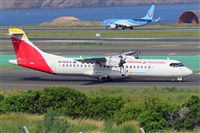 �Miguel A. �gueda Rguez.  (CANARY ISLANDS SPOTTING). Click to see full size photo