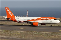 ©Alfonso Solís - Asociación Canary Islands Spotting. Click to see full size photo ©Alfonso Solís - Asociación Canary Islands Spotting. Click to see full size photo