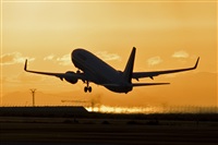 Javier de la Cruz - CANARY ISLANDS SPOTTING. Click to see full size photo