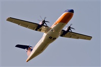 Javier de la Cruz - CANARY ISLANDS SPOTTING. Click to see full size photo