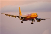 Jos Miguel Bernases - Noisy Spotters. Click to see full size photo