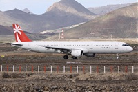 Alfonso Sols - Asociacin Canary Islands Spotting. Click to see full size photo