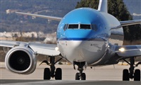 Rubn Gil - Noisy Spotters. Click to see full size photo