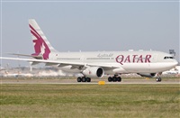 Rubn Gil - Noisy Spotters. Click to see full size photo