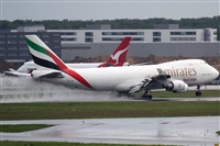 Rodrigo Carvalho - Noisy Spotters. Click to see full size photo