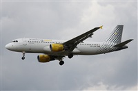©Alfonso Solís - Asociación Canary Islands Spotting. Click to see full size photo ©Alfonso Solís - Asociación Canary Islands Spotting. Click to see full size photo