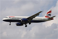 ©Alfonso Solís - Asociación Canary Islands Spotting. Click to see full size photo ©Alfonso Solís - Asociación Canary Islands Spotting. Click to see full size photo