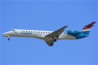 H.volar. Click to see full size photo